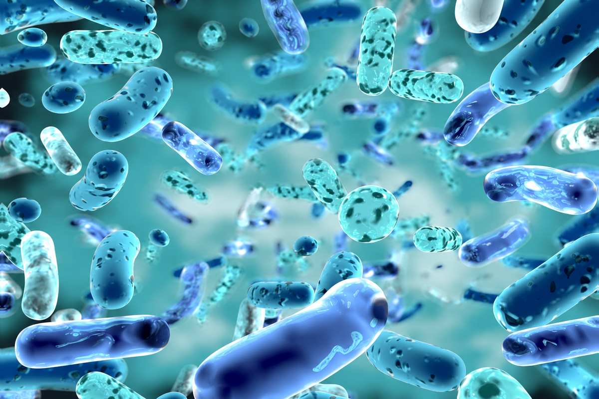 Probiotyk pod lupą. Co oznaczają liczby bakterii, szczepy i mikrokapsułkowanie?