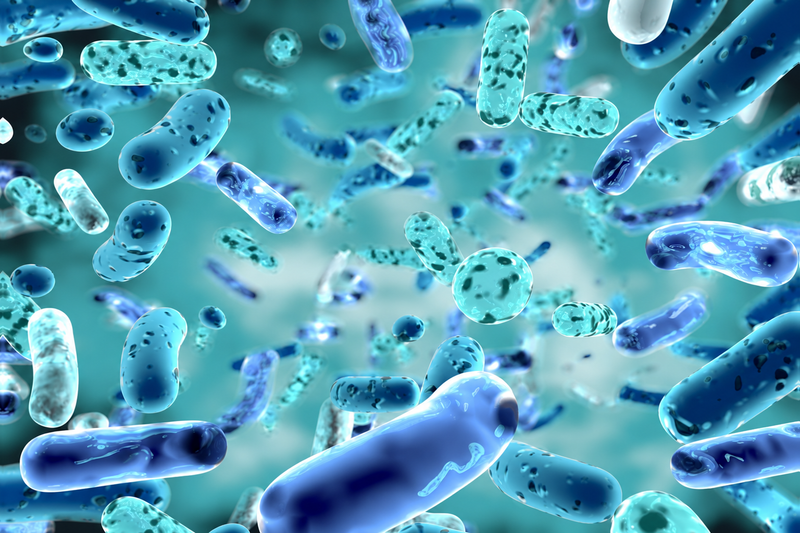 Probiotyk pod lupą. Co oznaczają liczby bakterii, szczepy i mikrokapsułkowanie?